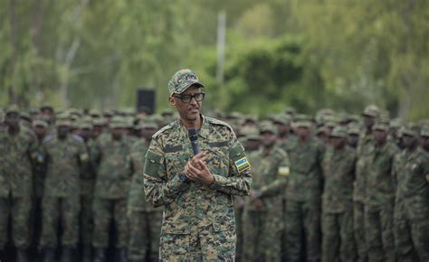 RDF Training Exercise 的图像结果