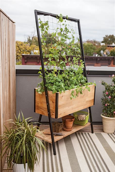 How To Build Planter Box With Trellis at Darrel Parr blog