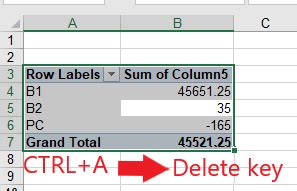 Image result for +Remove PivotTable Excel