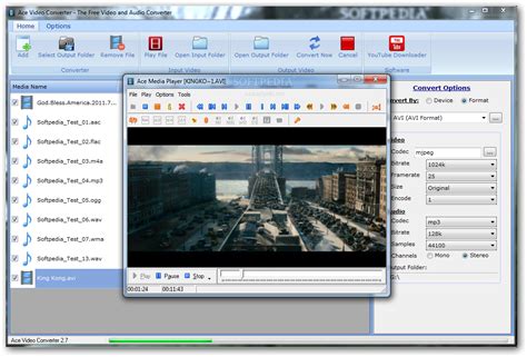 Convert Video Format Input Ace 的图像结果
