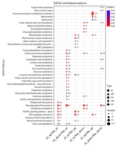 Physiological and Transcriptomic Analyses Reveal Commonalities and ...