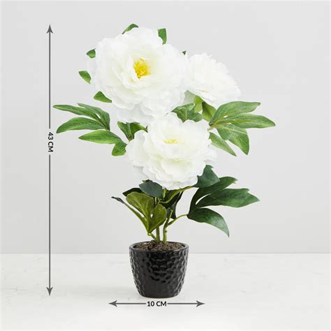 Buy Valencia-Sachi Solid Three Peony in Ceramic Pot from Home Centre at ...