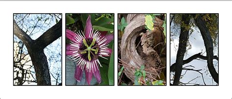 Creative Letter Art - Yoga Photo prepack Includes 4 Unique Nature ...