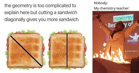 Funny Science Lab Memes 的图像结果