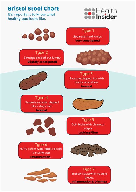 Image result for Flat Poop