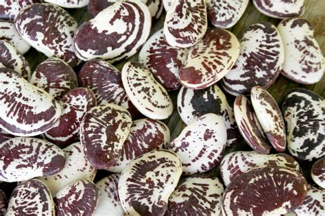 Christmas Butter Beans at Derek Charles blog