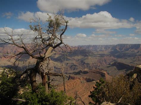 gabrielle | get vaxxed it makes u literally super hot and irresistible, as u can see here ...