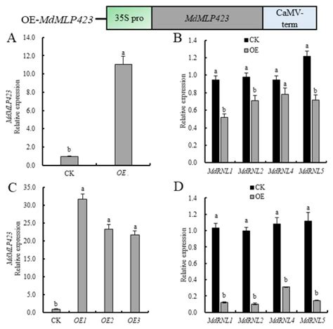 IJMS | Special Issue : Plant Disease Resistance