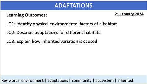 Adaptations KS3 的图像结果