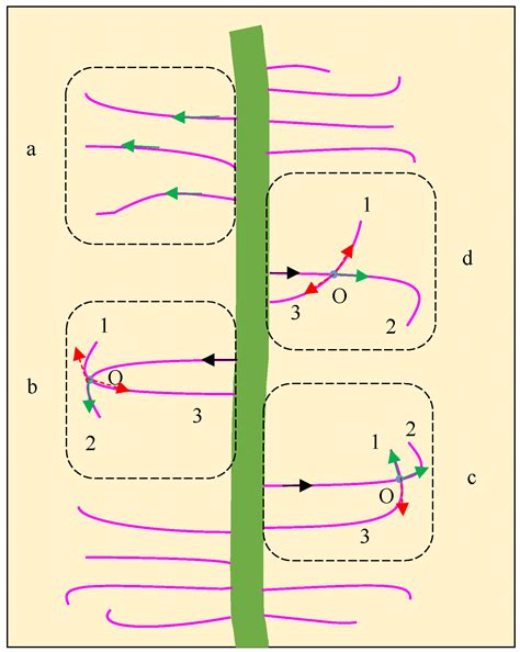 Characterization of Root Hair Curling and Nodule Development in Soybean ...