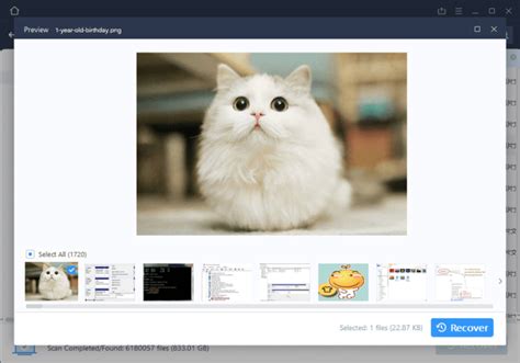 Image result for Data Recovery Wizard Free