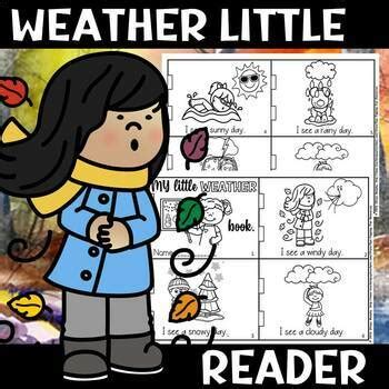 Image result for Weather Reader