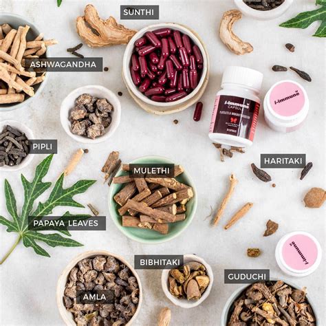 Ayurveda Treatment For Dengue | Ayurvedic Medicine For Dengue Fever ...