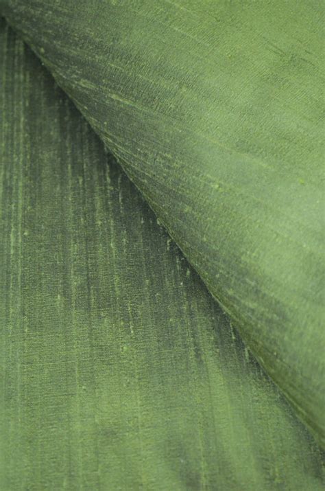 Pure Raw Silks – Essence of India