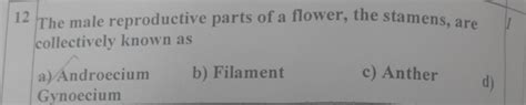 12 The male reproductive parts of a flower, the stamens, are collectively..