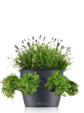 Lechuza Planters, Dubai, Manufacturers, Suppliers, UAE