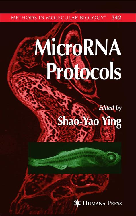 Buy MICRORNA PROTOCOLS (METHODS IN MOLECULAR BIOLOGY, VOLUME 342) Book ...