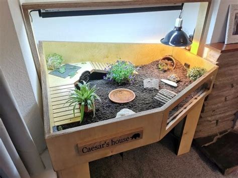 Image result for Tortoise Table