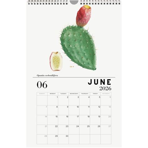 2026 Cactus Calendars – Planet Desert
