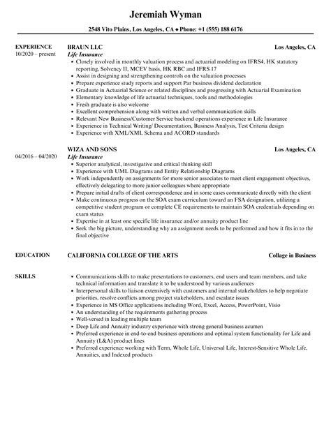 Life Insurance Resume - movis-8pt0