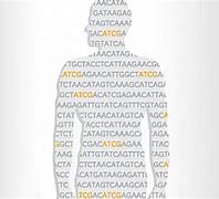 Image result for genotyping