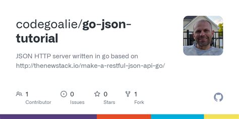 Go JSON V2 Example 的图像结果