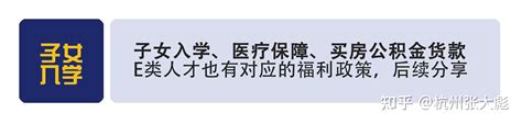 2022年杭州E类人才认定条件最新版（附：申请条件图表）_获得者_技术_计划