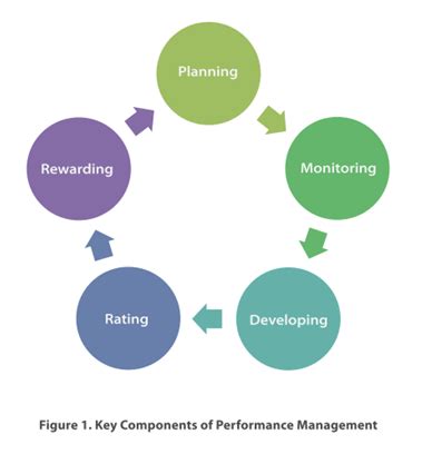 Six Components of Performance Management 的图像结果