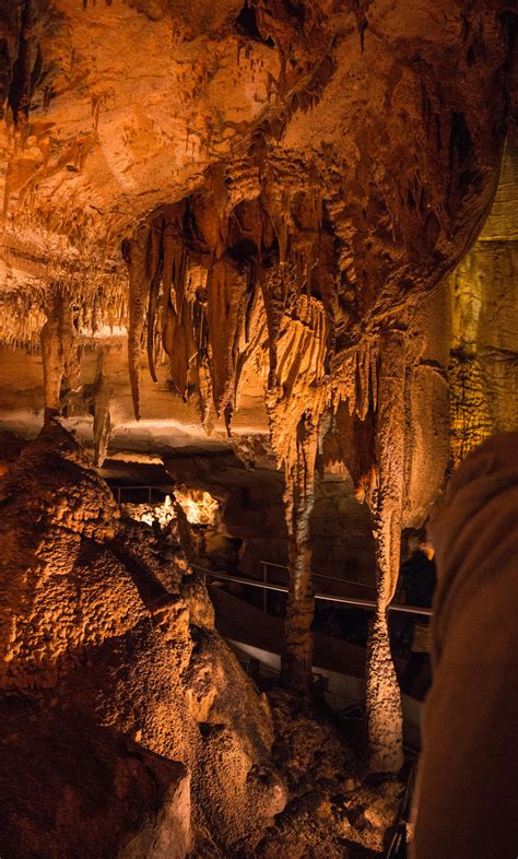 Stalactites vs. Stalagmites: Know the Cave Differences! | RCC Blog