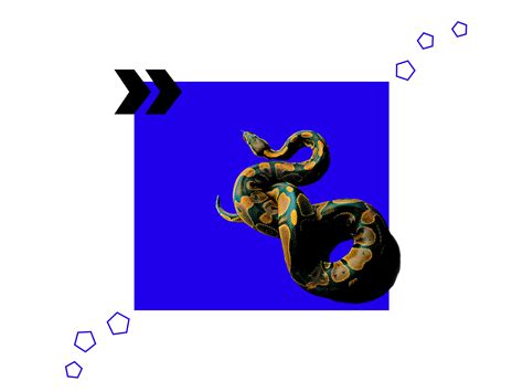 Python Performance 的图像结果