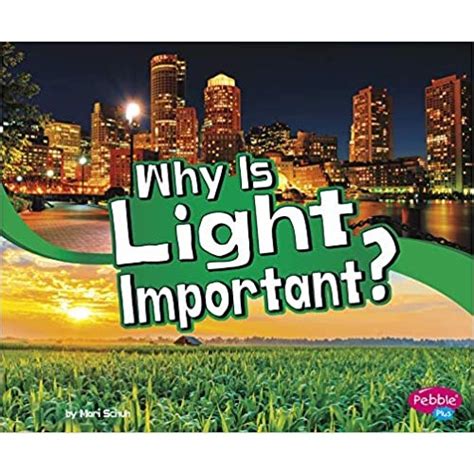 why is light important in interior design