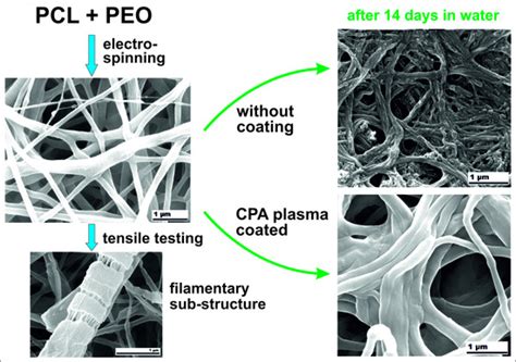 Well-Blended PCL/PEO Electrospun Nanofibers with Functional Properties ...