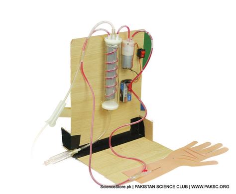 Working Modals Science 的图像结果