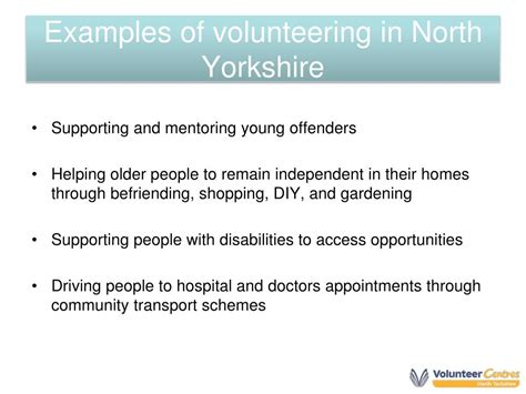 Volunteering Work Examples 的图像结果