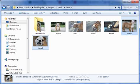 Image result for Why Picture Are Not Visible When We Upload HTML Project
