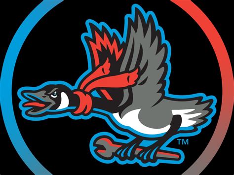 Funny Baseball Team Logo 15 Completely Ridiculous Minor League Sports