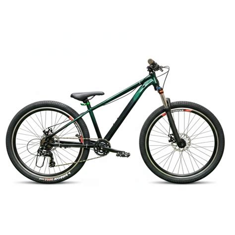 Custom Build Cycle With Alloy Steel Frame And Lockout Suspension And ...
