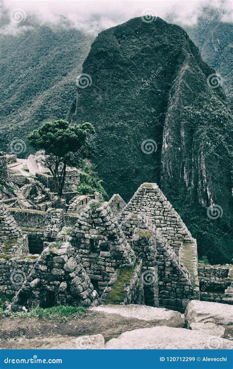 Ancient Inca Civilization 的图像结果