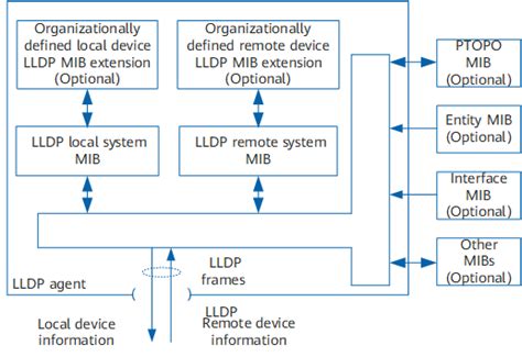Image result for Lldp Packet