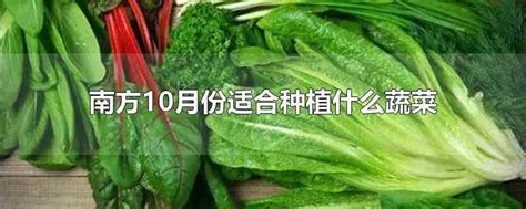 南方10月份适合种植什么蔬菜(南方10月份适合种植香菜)_生活百科 - 博搜网