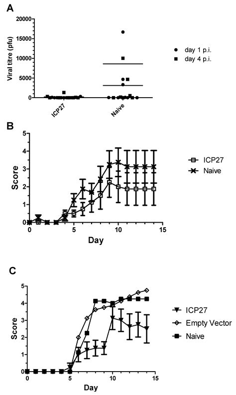 CD8+ T Lymphocyte Epitopes From The Herpes Simplex Virus Type 2 ICP27 ...