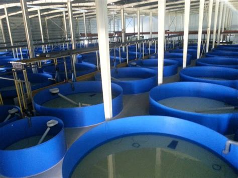 玻璃钢拼装圆形养鱼池高密度养鱼池陆基循环水养殖 - 美耐特 - 九正建材网