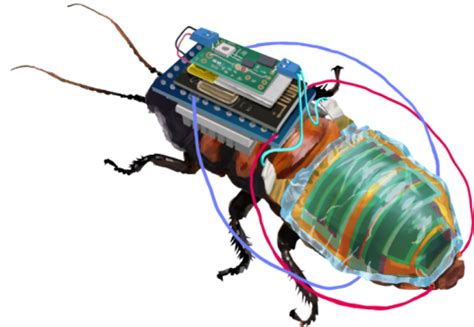 Remote Controlled Cockroach 的图像结果