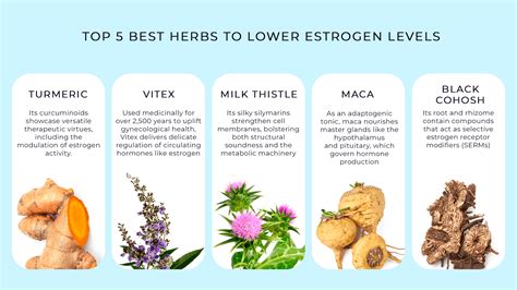 Achieve Hormone Balance: Top 5 Best Herbs to Lower Estrogen Levels – Garden Organics