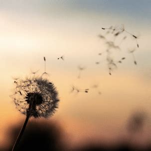 The Times of Northwest Indiana Memorials and Obituaries | We Remember