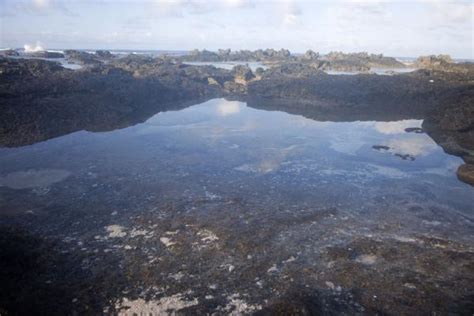 EUA Map 的图像结果