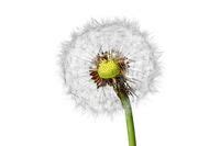 Which Washing Machine? Buying Guide | Bosch