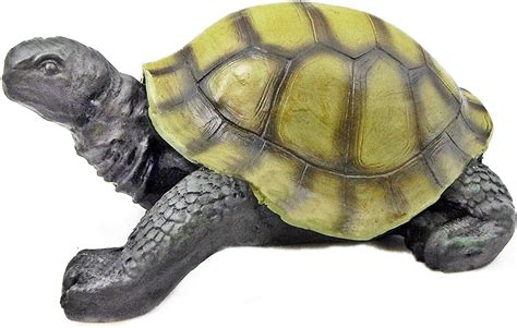 Bellaa Large Turtle Garden Statue - Realistic and Cute India | Ubuy