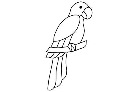 Image result for Simple Parrot Treets