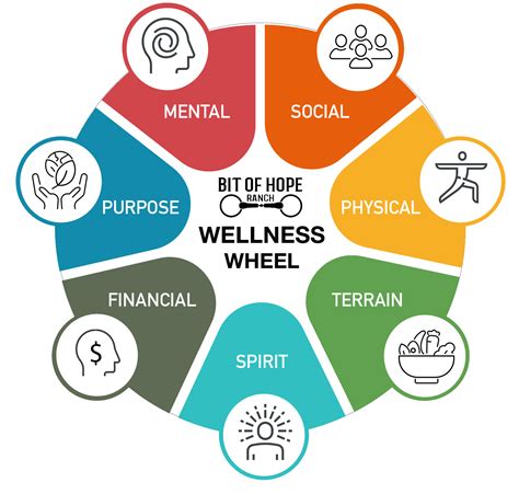 Wellness Wheel — Bit of Hope Ranch